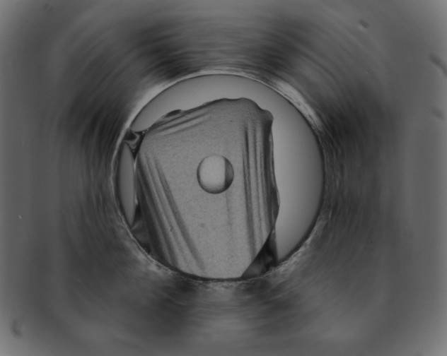 X0000091910908200710031017