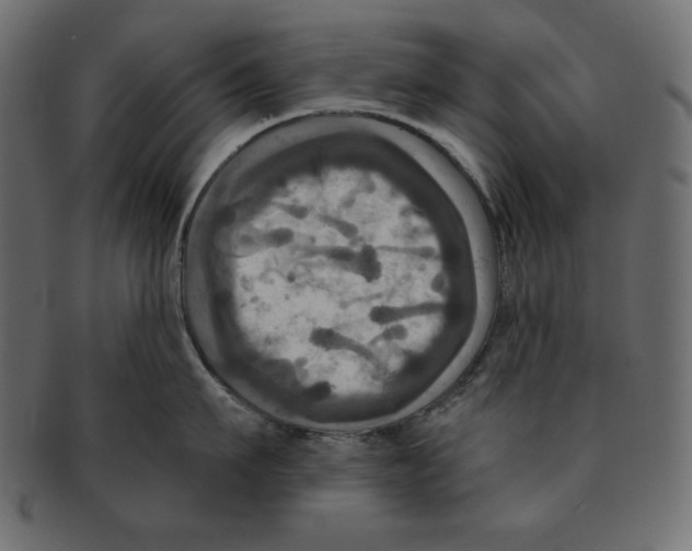 X0000091910911200710031017