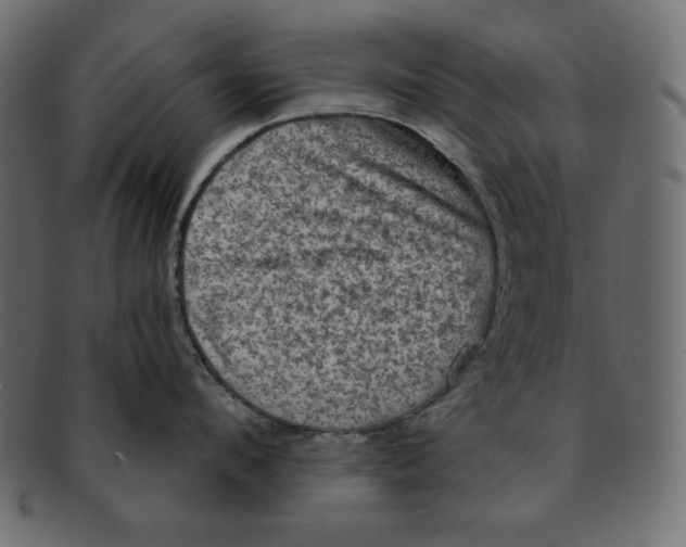 X0000091910912200710031017