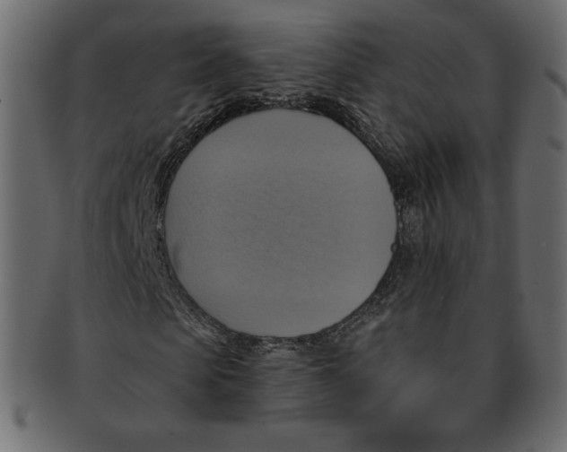 X0000091910913200710031016