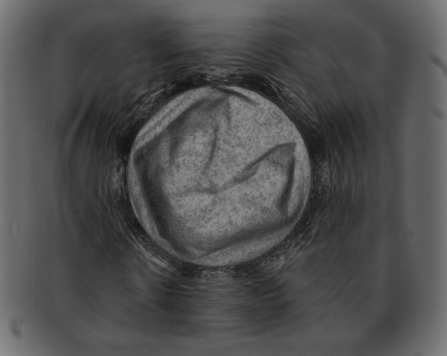 X0000091910914200710031016