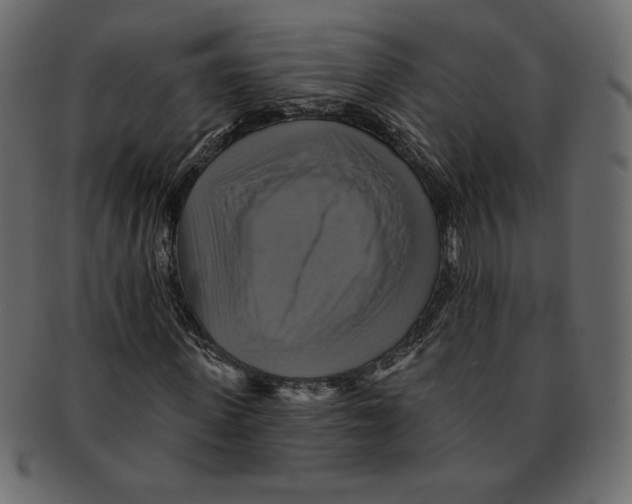 X0000091910915200710031016