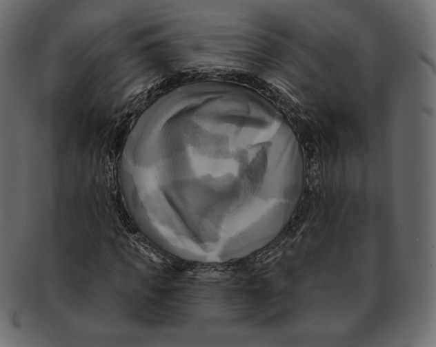 X0000091910917200710031016