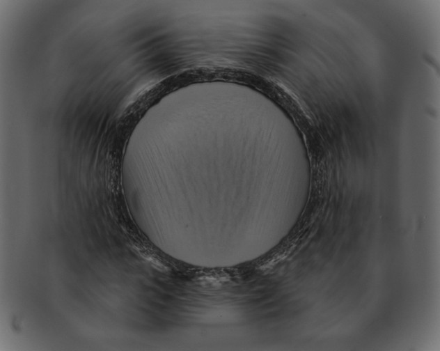 X0000091910919200710031016