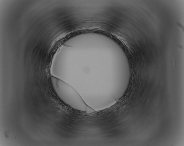 X0000091910920200710031016