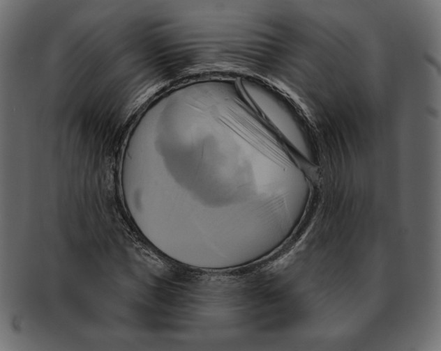 X0000091910921200710031016