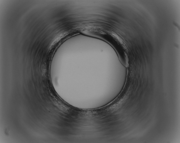 X0000091910922200710031016