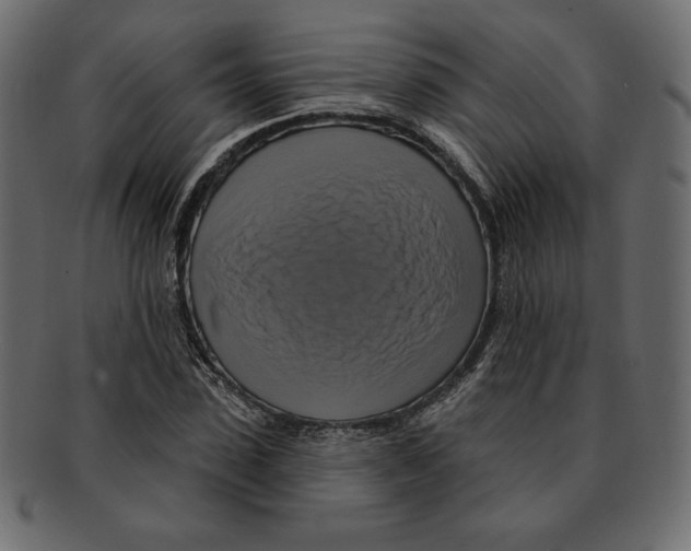 X0000091910923200710031016