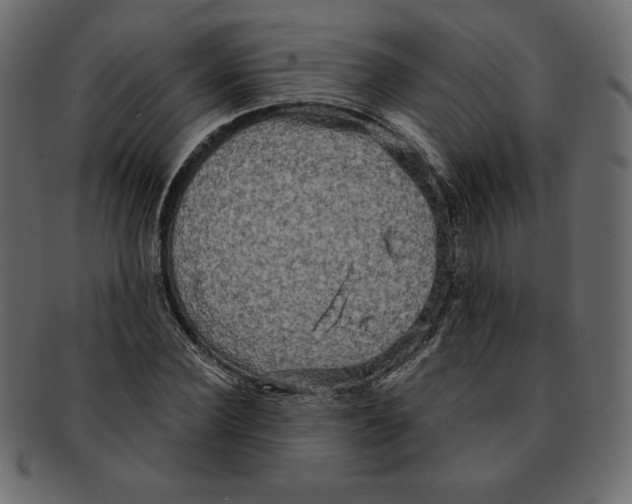 X0000091910924200710031016