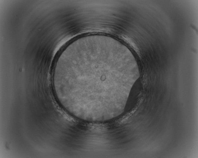 X0000091910928200710031016