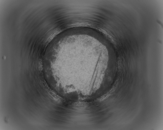 X0000091910929200710031016