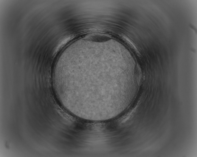 X0000091910930200710031016