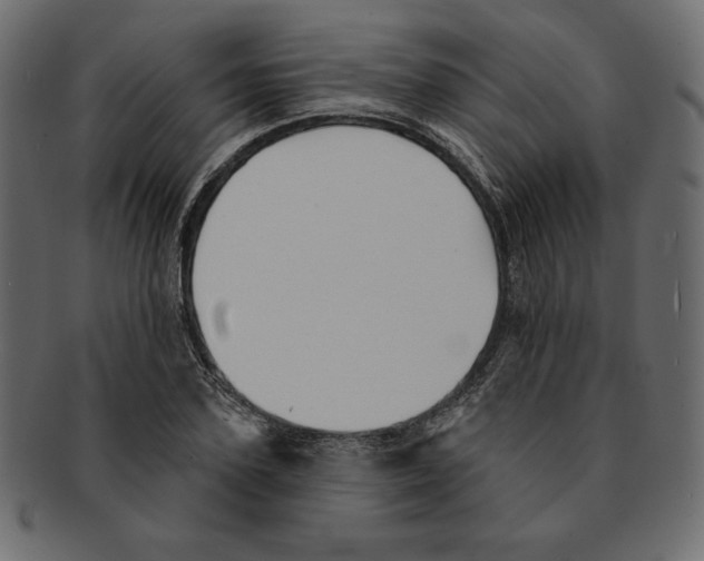 X0000091910931200710031016