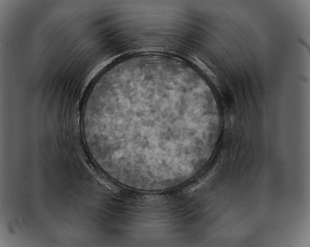 X0000091910933200710031016