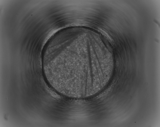 X0000091910934200710031016