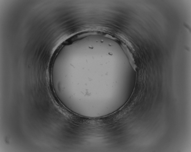 X0000091910936200710031016