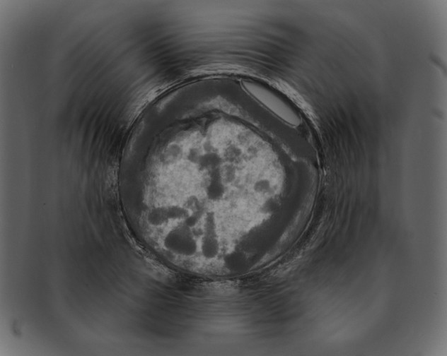 X0000091910937200710031016