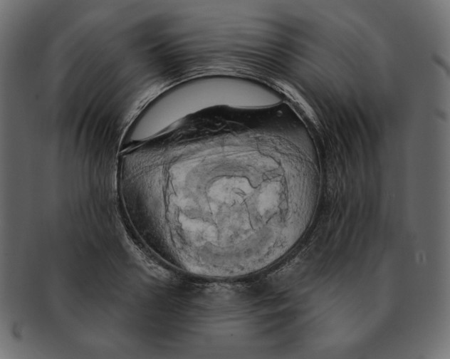 X0000091910938200710031016