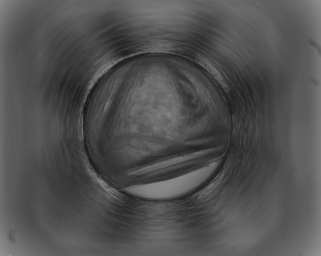 X0000091910939200710031016