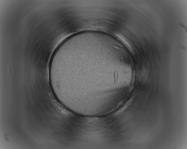 X0000091910940200710031016