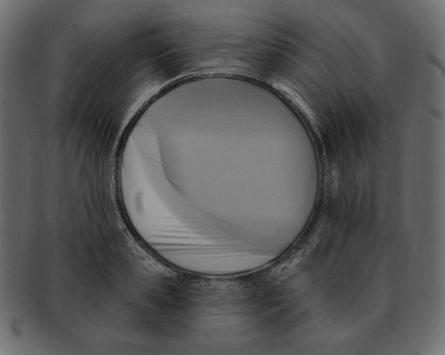 X0000091910941200710031016