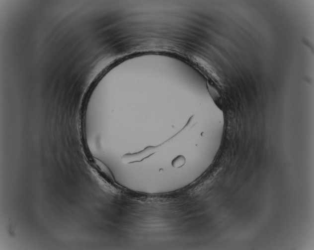 X0000091910942200710031016