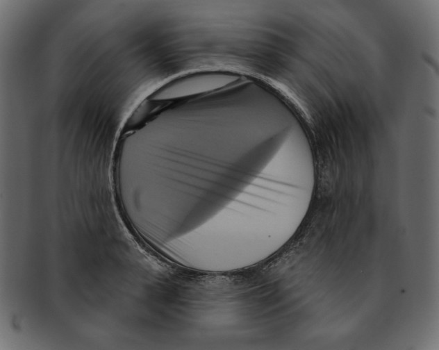 X0000091910943200710031016