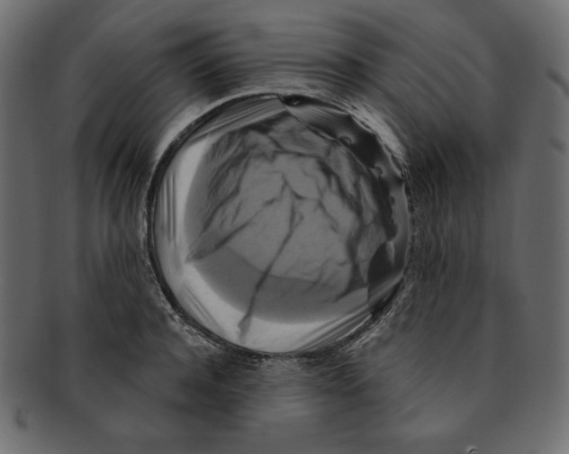 X0000091910944200710031016