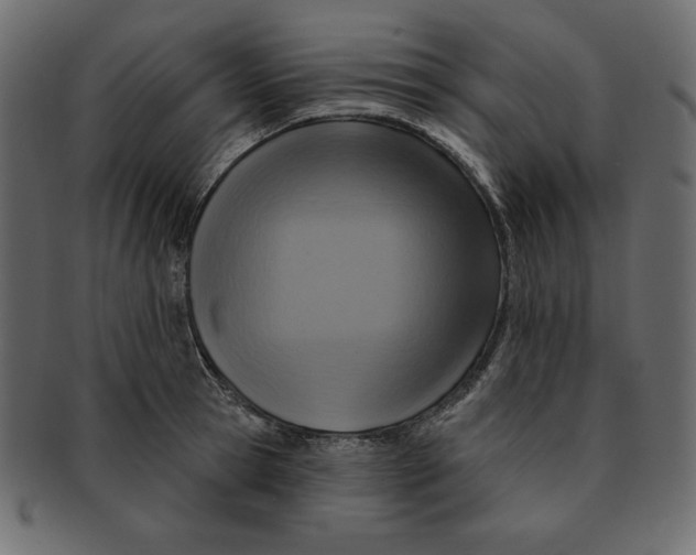 X0000091910945200710031016