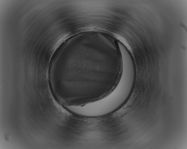 X0000091910946200710031016