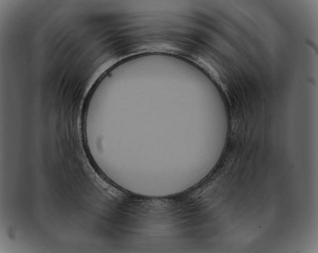 X0000091910947200710031016