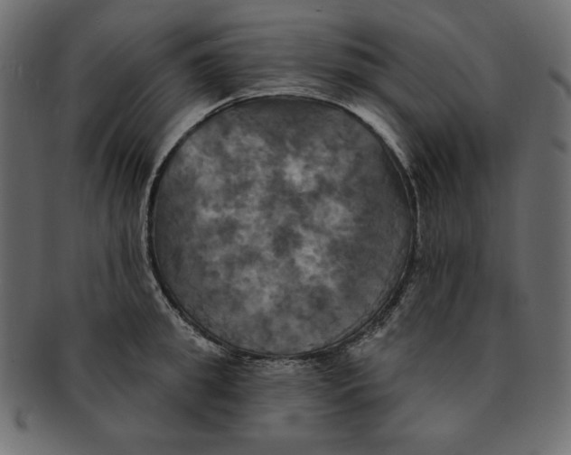 X0000091910949200710031016