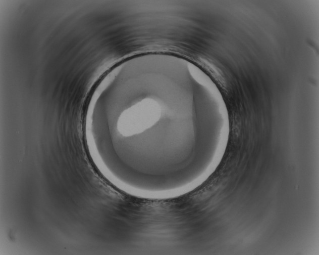 X0000091910950200710031016