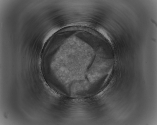 X0000091910952200710031016