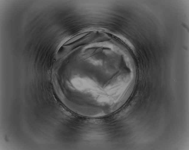 X0000091910953200710031016