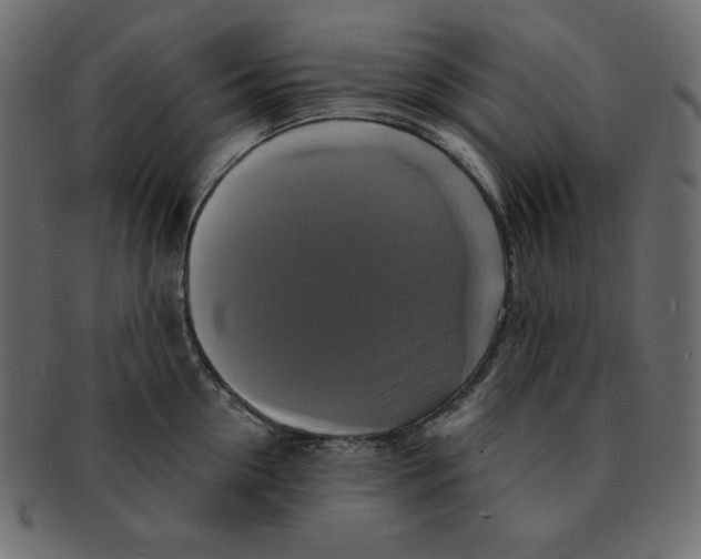 X0000091910954200710031016