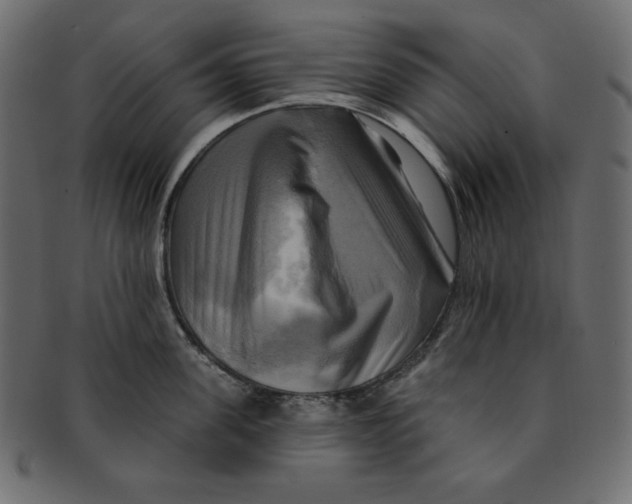 X0000091910955200710031016