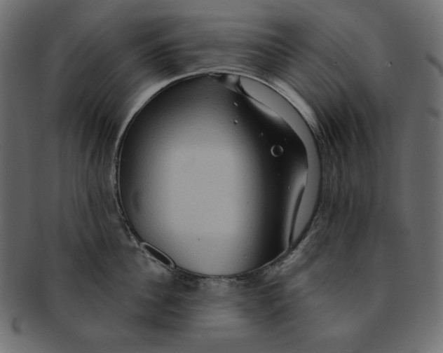 X0000091910956200710031016