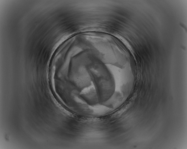 X0000091910957200710031016