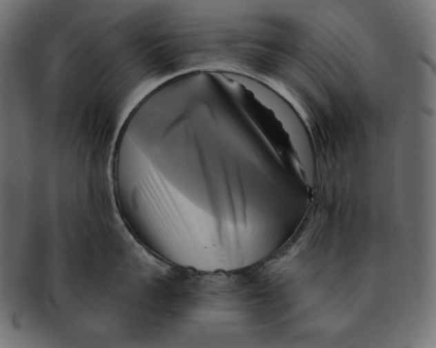 X0000091910959200710031017