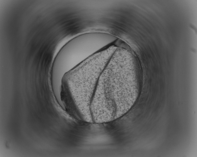 X0000091910960200710031017