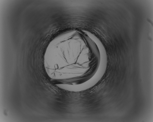 X0000091910961200710031016