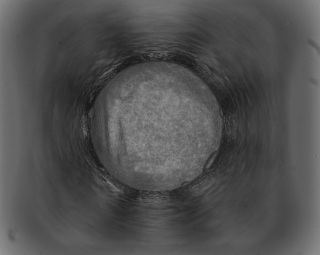 X0000091910962200710031016