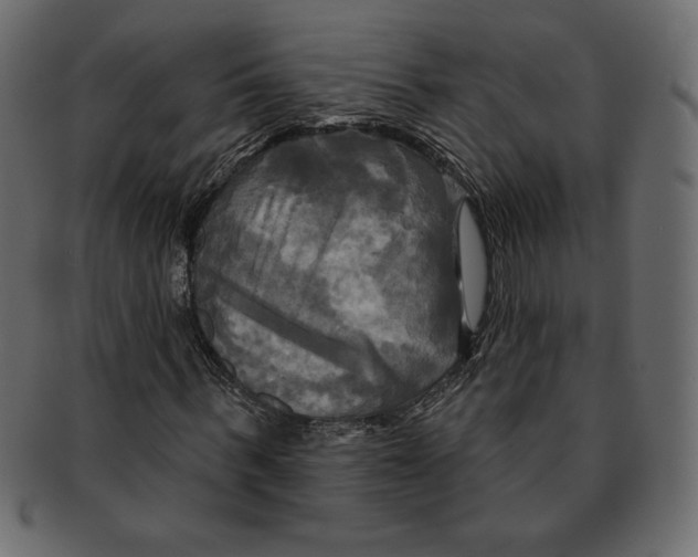 X0000091910963200710031016