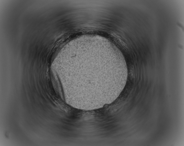 X0000091910964200710031016