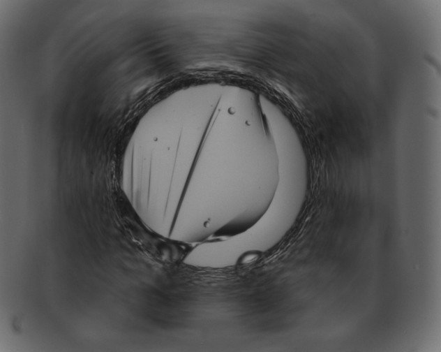 X0000091910965200710031016