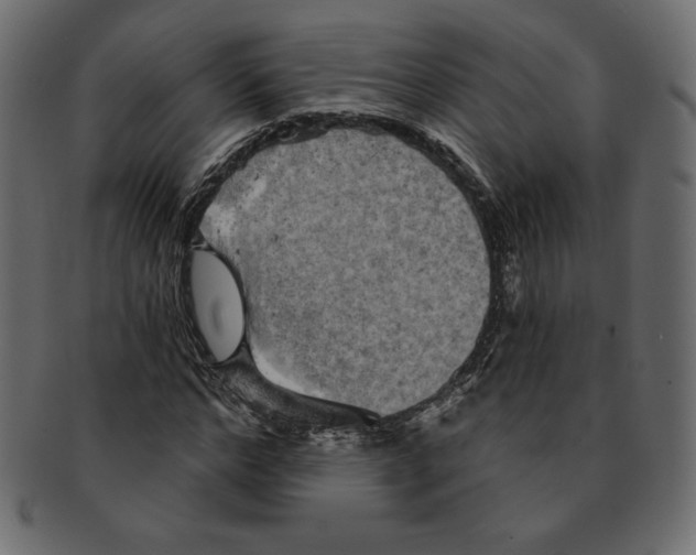 X0000091910968200710031016