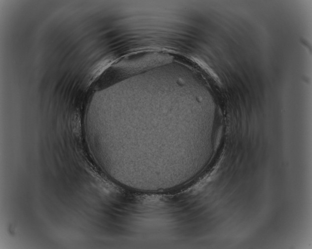 X0000091910969200710031016