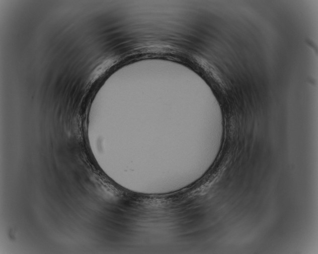 X0000091910970200710031016