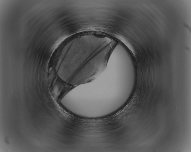 X0000091910972200710031016